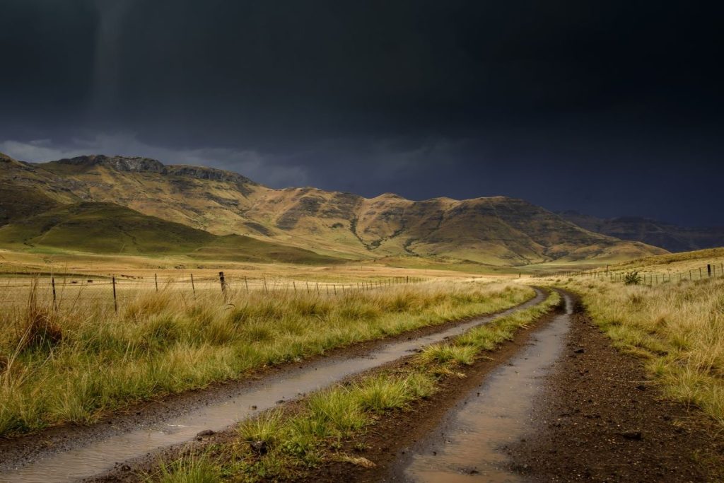 A dirt road or 4x4 trail in the Eastern Cape.