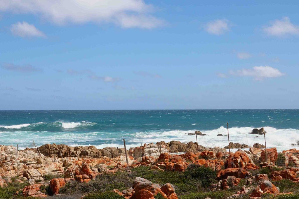 The West Coast coastline in South Africa.