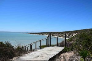 A boardwalk at West Coast National Park.