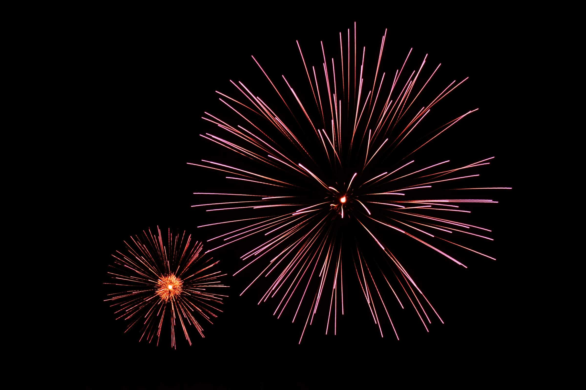 Fireworks light up against a dark sky.