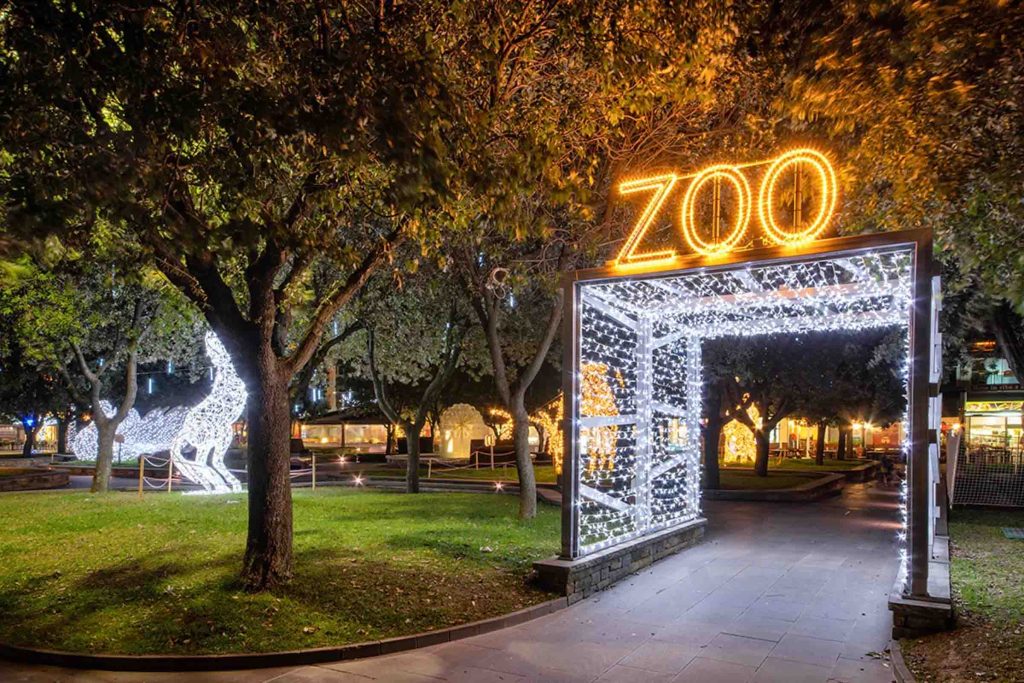 A light show at the Joburg Zoo.