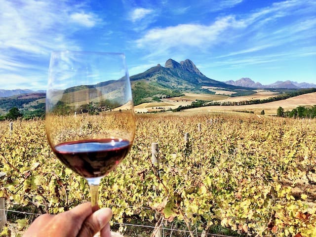 A superb Pinotage and jaw-dropping views in Stellenbosch | Photo Keith Jenkins