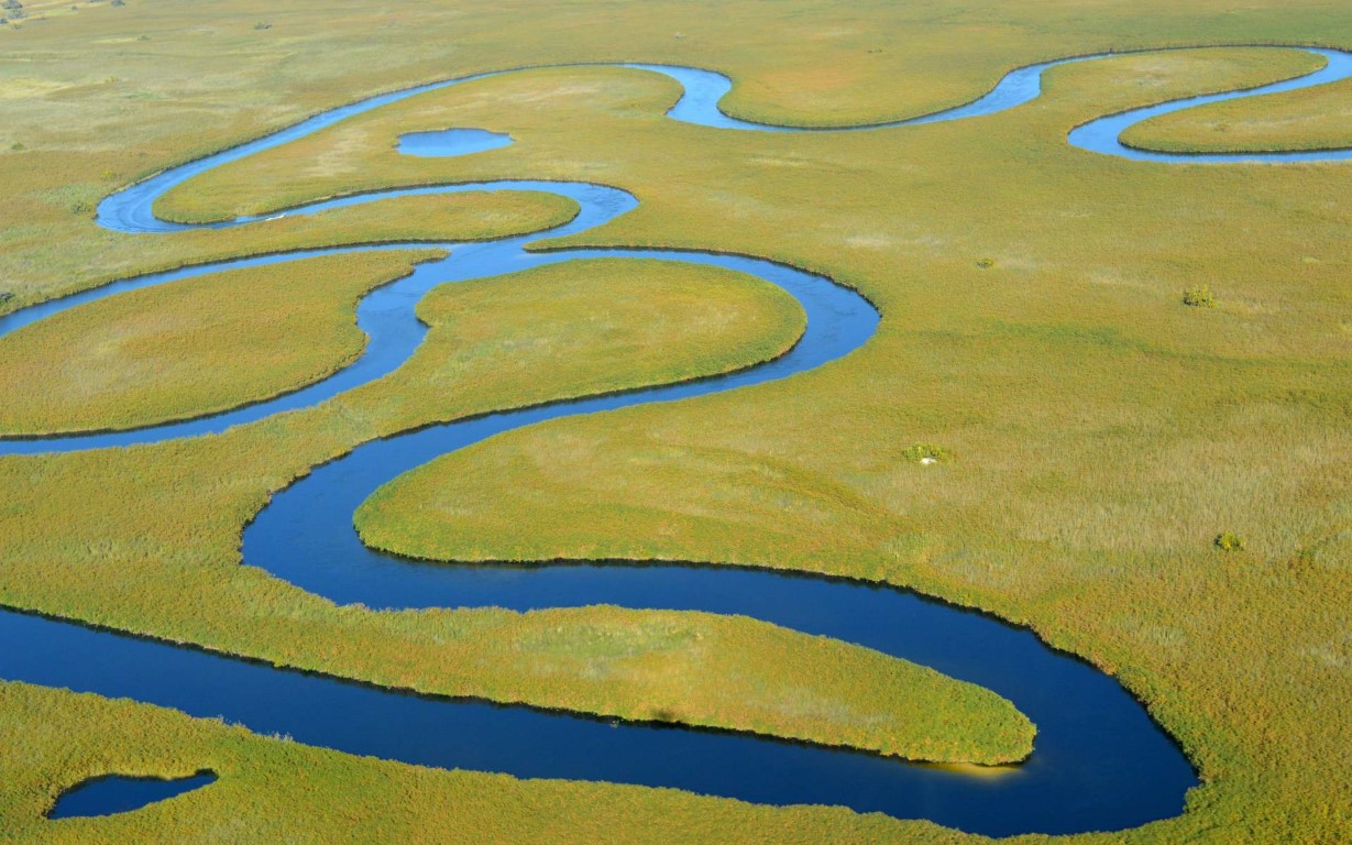 Eine Luftaufnahme des üppigen und grünen Okavango-Deltas.