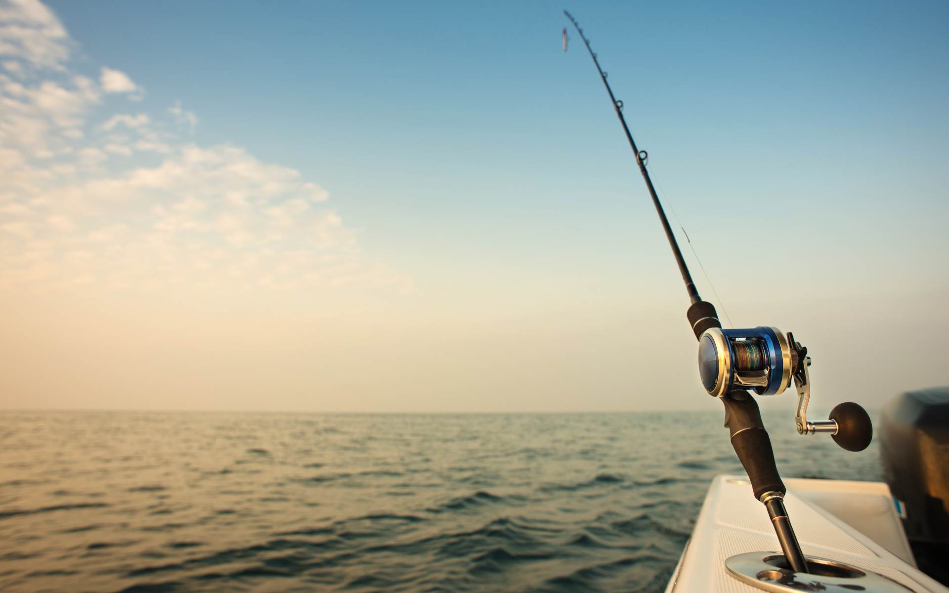 Vissen in de oceaan | Foto: woraput via Getty