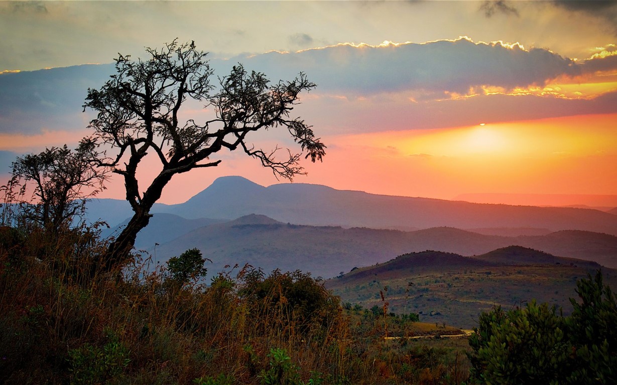 Zonsopgang boven de savanne in Zuid-Afrika | Foto: Jeffengeloutdoors via Getty Images