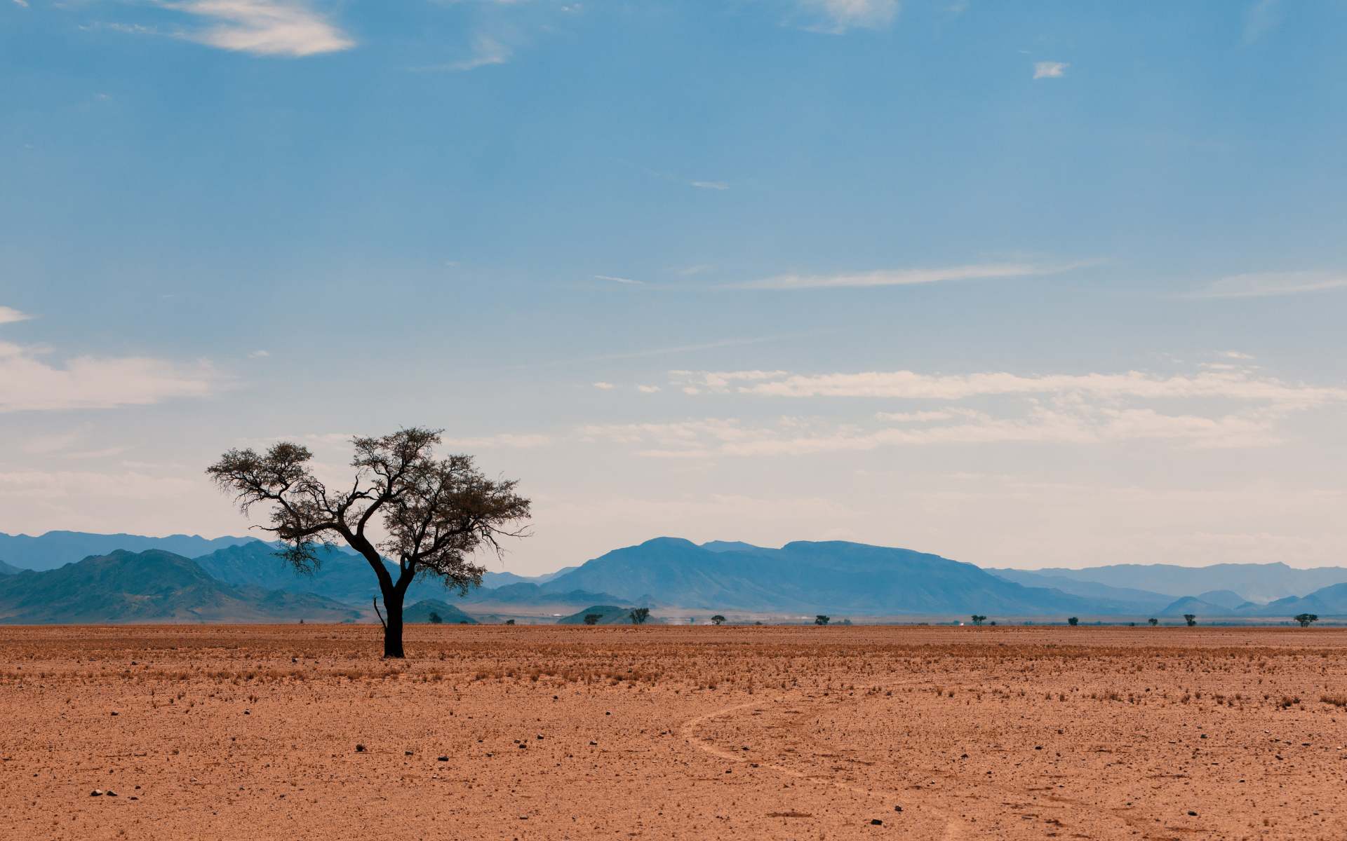 De Namibwoestijn, Namibië | Foto: Artush via Canva