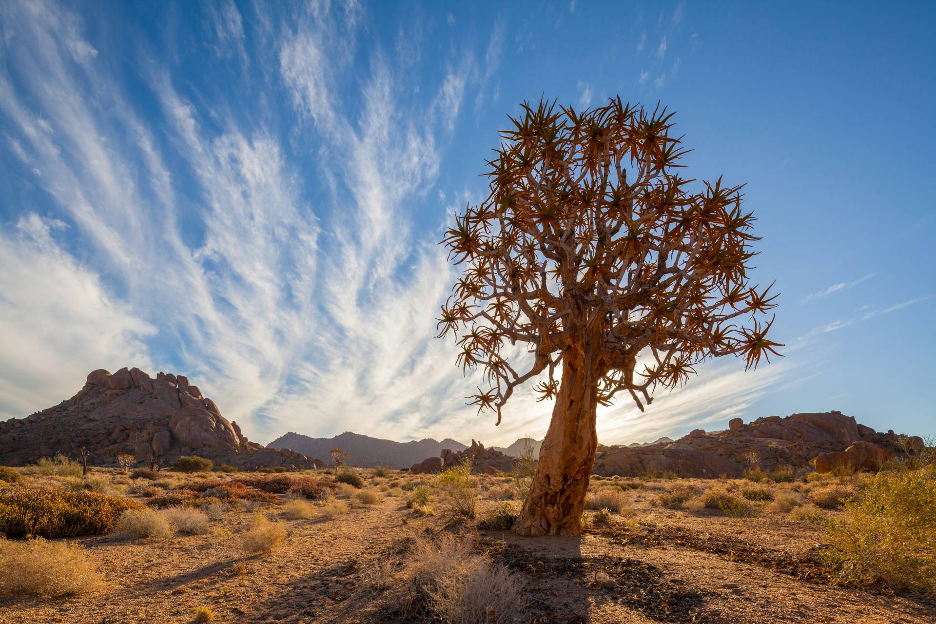 Ai/Ais Richtersveld Transfrontier Park in South Africa | Photo:Chris Stenger via Unsplash