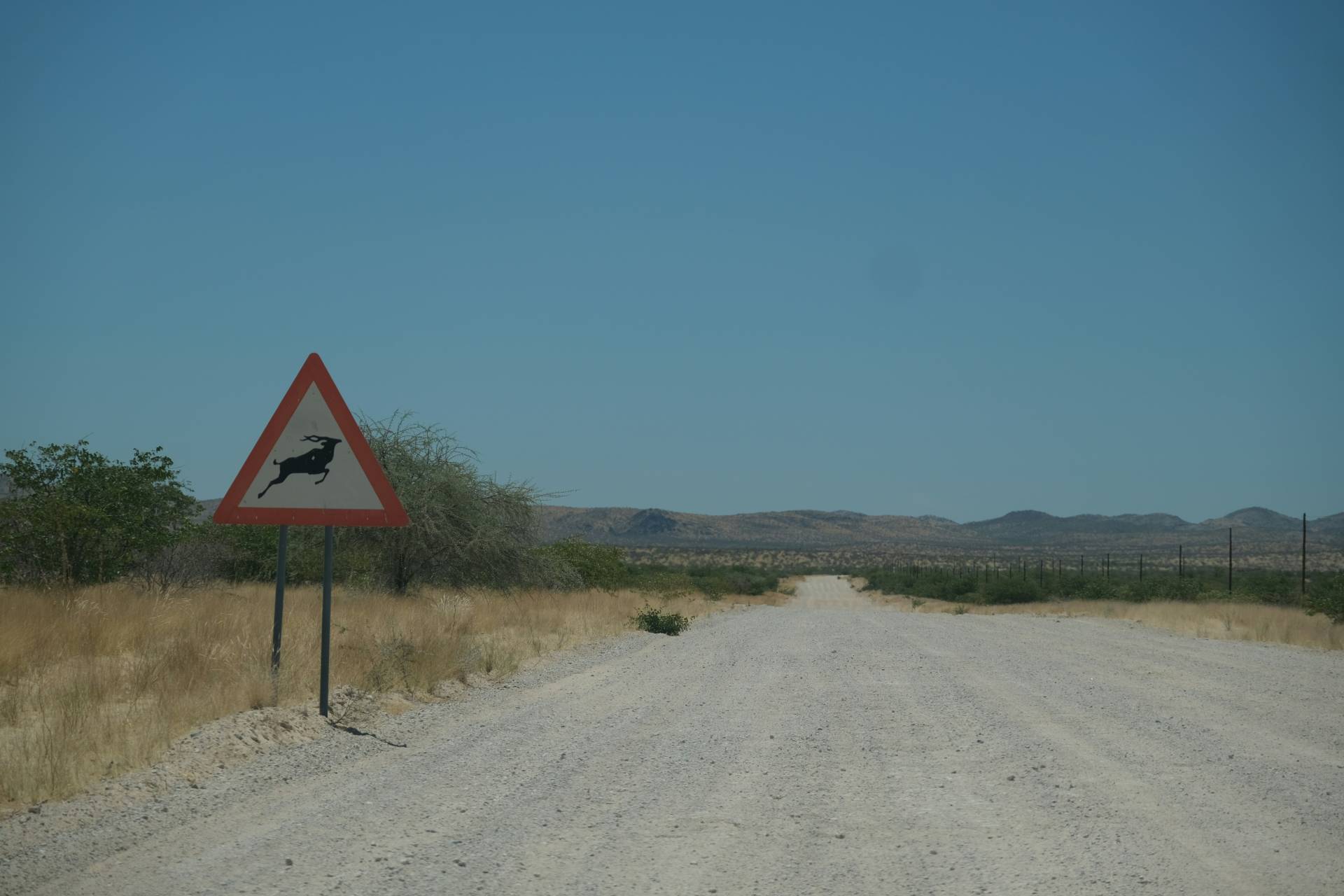 Shot of a long dirt road with a sign warning that there might be antelope crossings
