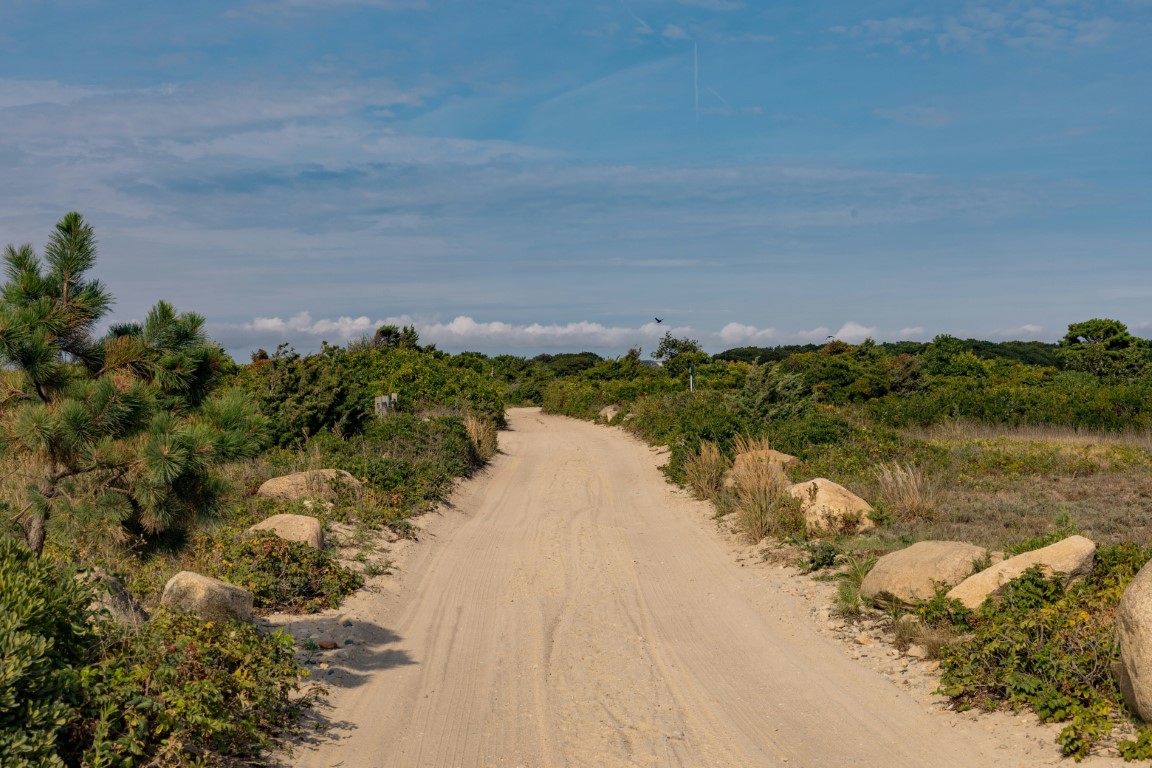 A long stretch of dirt road heading through the bush.
