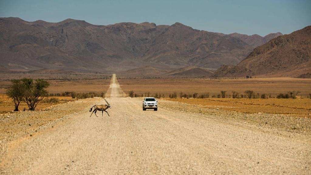 Oryx crossing a dirt road in Namibia with a white 4x4 approaching