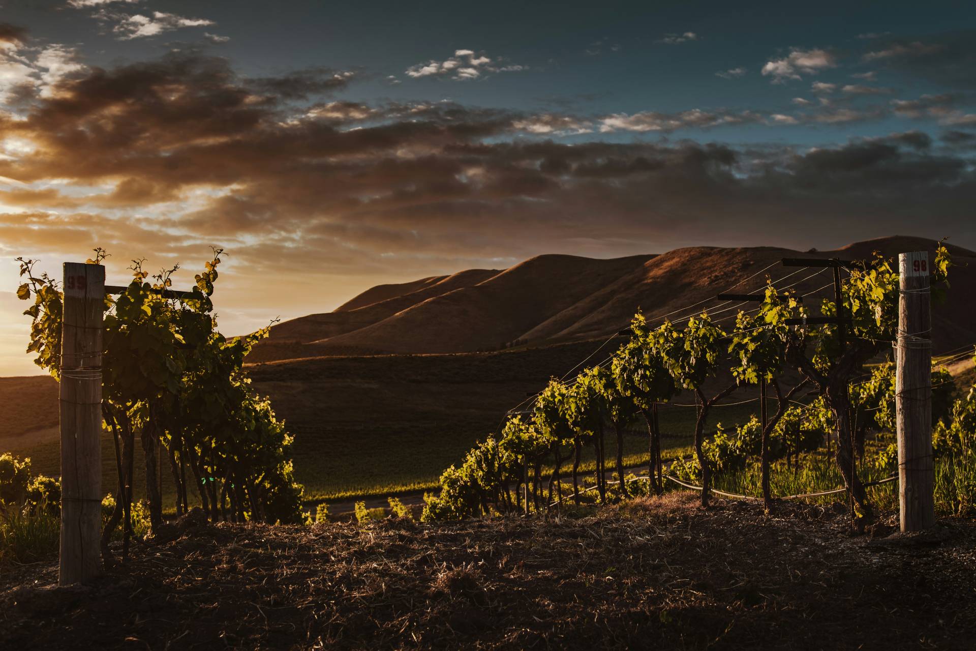 scenic view of Paarl in the Cape Winelands at sunset