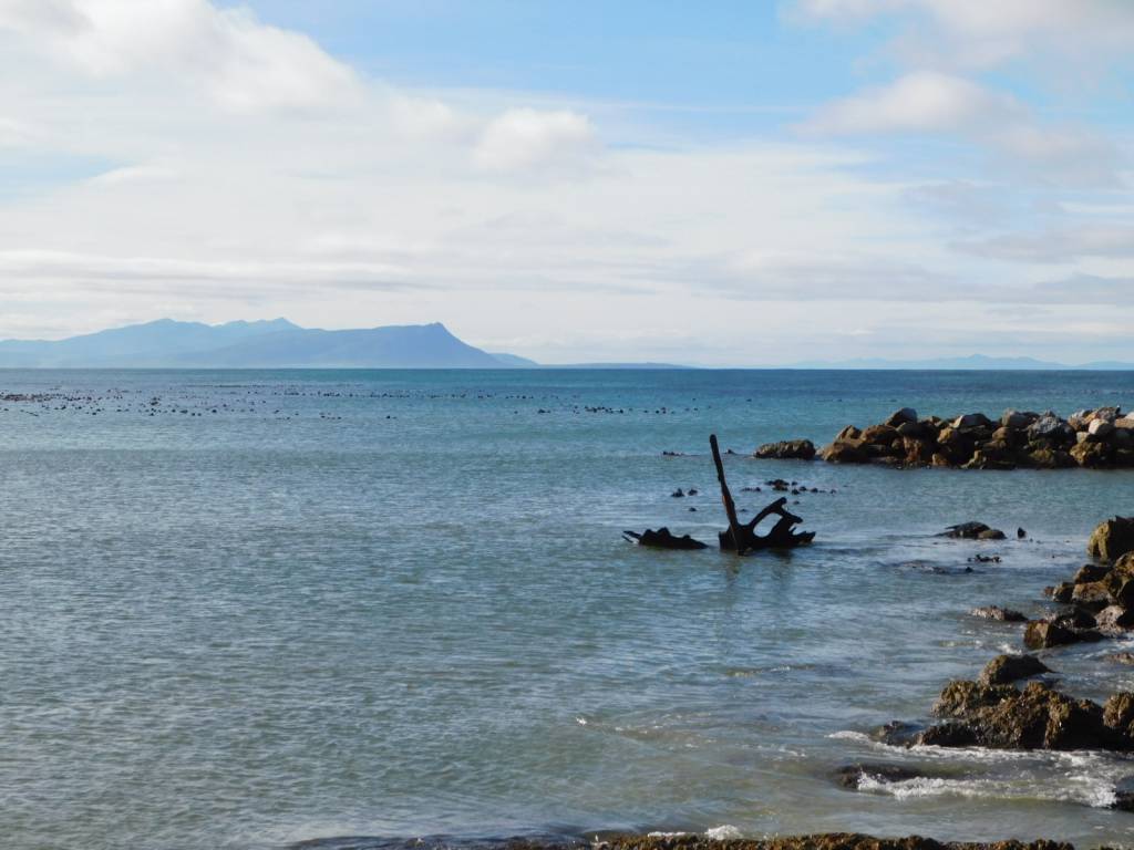 Shipwreck at Stony Point Penguin Colony