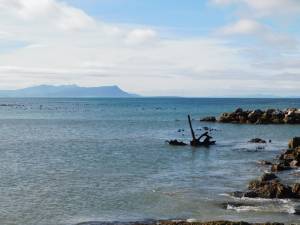 Shipwreck at Stony Point Penguin Colony