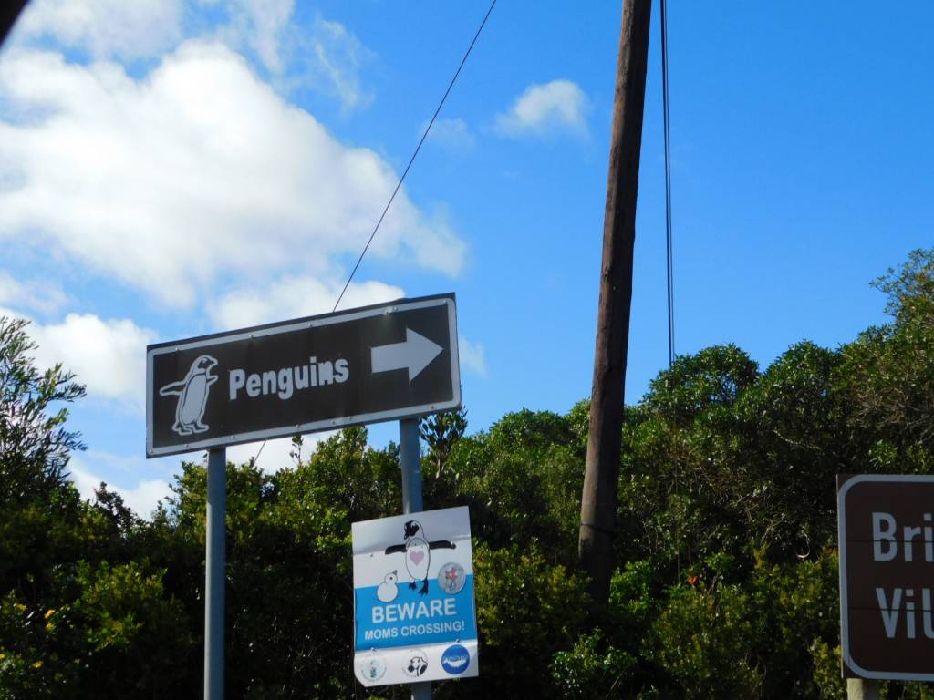 Sign pointing towards the Stony Point penguin colony