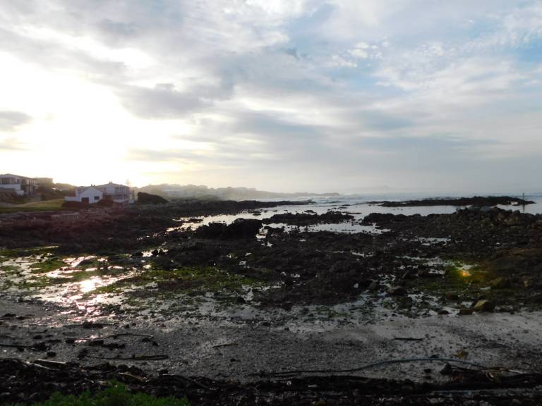 Scenic Road Trip: Cape Town to Gansbaai