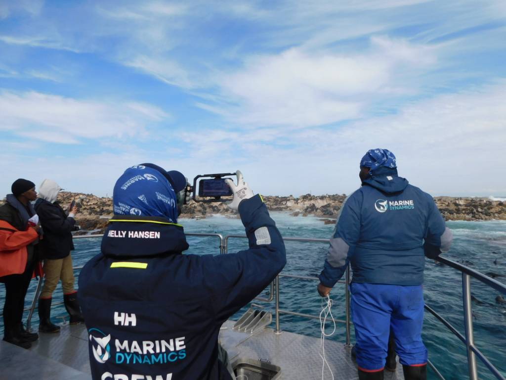 Crew of the Dream Catcher attempting to rescue a seal in Gansbaai | Photo: Thaakiera Ackerdien