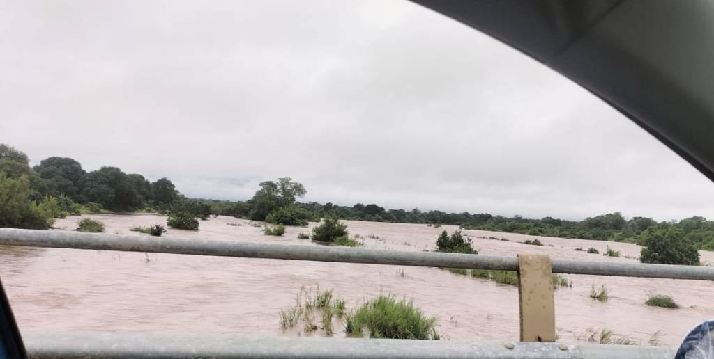 View from vehicle of rising water in the Kruger National Park