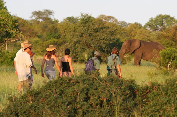 Walking safaris in the Kruger National Park