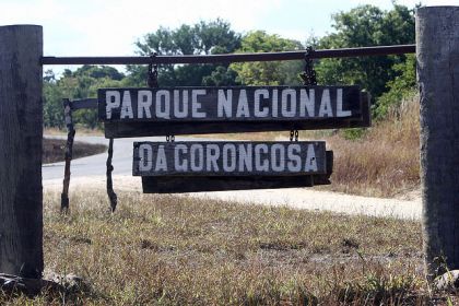 Gorongosa National Park, Mozambique