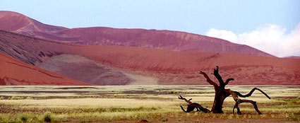 Namibia Sossusvlei sand dunes