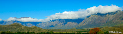 Tulbagh Cape Wine Route